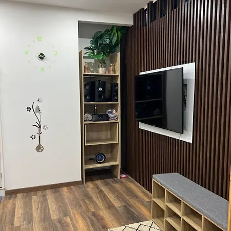 Daire Flandre Duplex Lille
