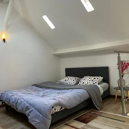 Daire Flandre Duplex