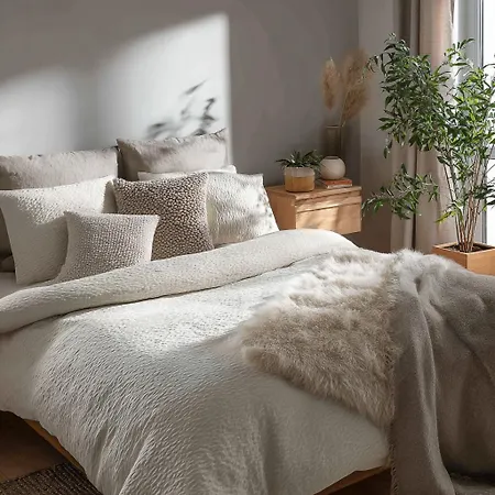 Appartement Flandre Lille